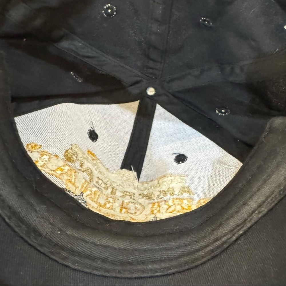 Second 2nd Amendment America's Original Homeland … - image 4